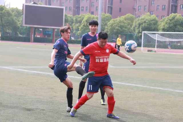 iPhone Duo降价引发热议，顾客反馈折叠屏问题